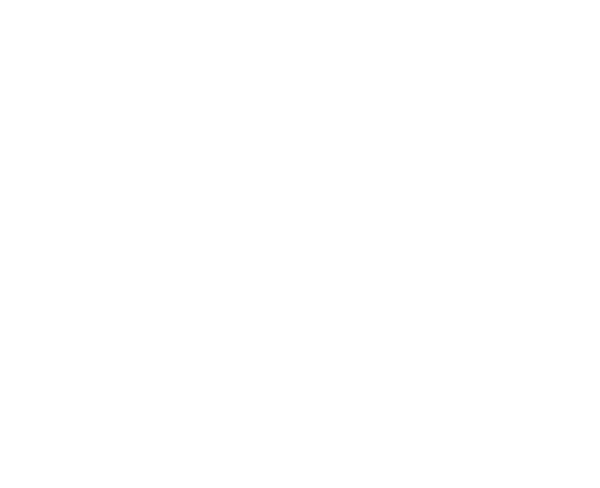 Kruk Serwis